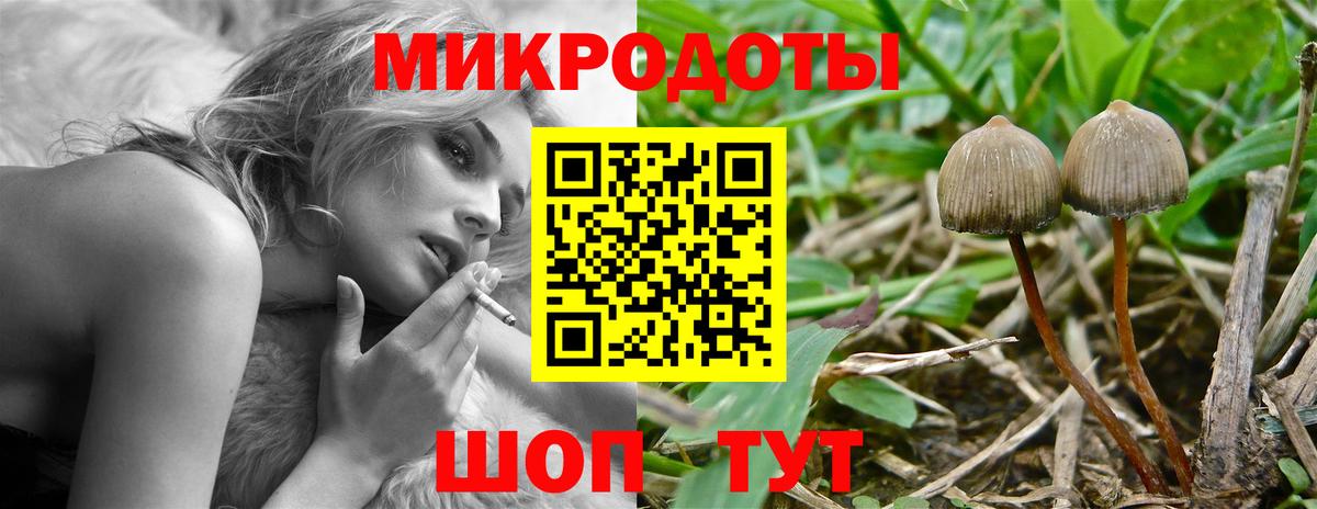 Галлюциногенные грибы мицелий Серов