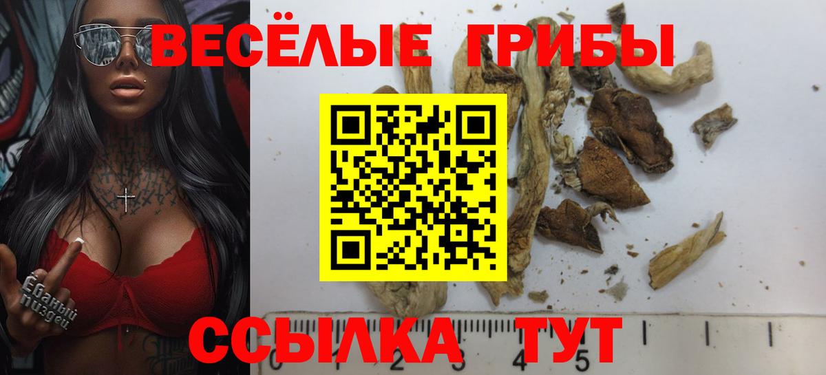 Серов  где найти наркотики  Псилоцибиновые грибы Cubensis  Вход с VPN  Псилоцибиновые грибы ЛСД 